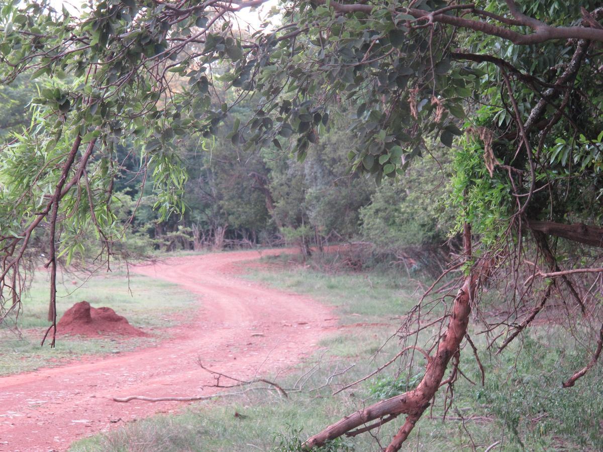 Harties Is Africa Safari Lodge Kosmos Екстериор снимка