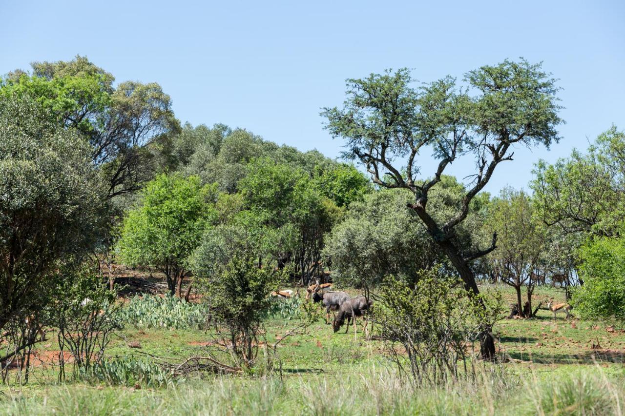 Harties Is Africa Safari Lodge Kosmos Екстериор снимка