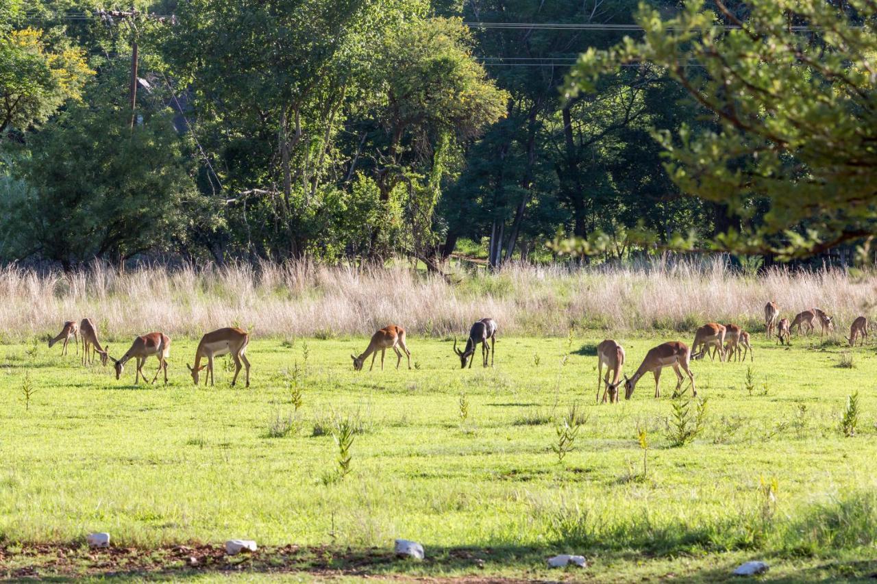 Harties Is Africa Safari Lodge Kosmos Екстериор снимка