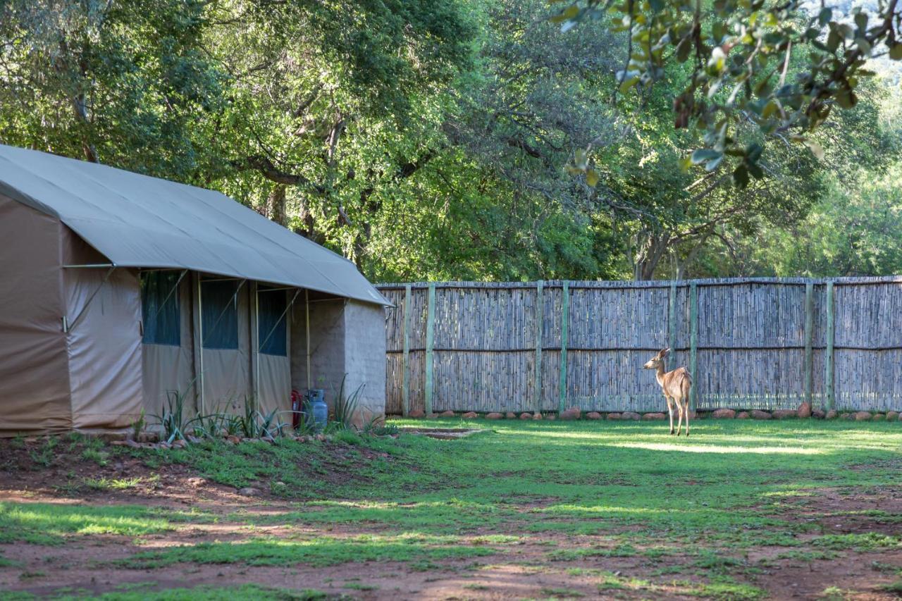 Harties Is Africa Safari Lodge Kosmos Екстериор снимка