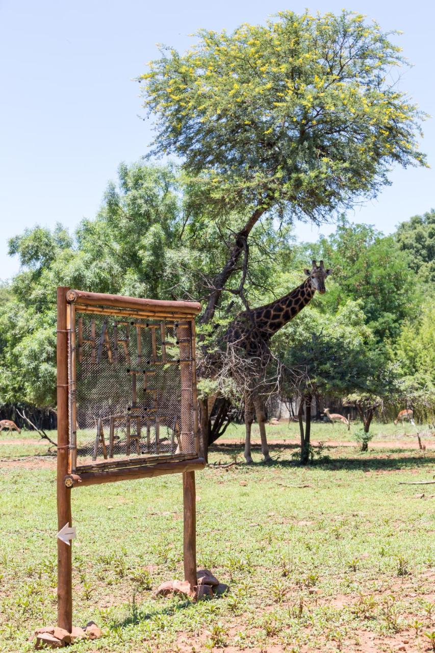 Harties Is Africa Safari Lodge Kosmos Екстериор снимка